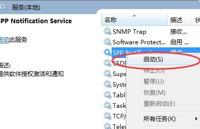 Windows 軟件保護服務詳解及其與網頁、網站設計的潛在關聯